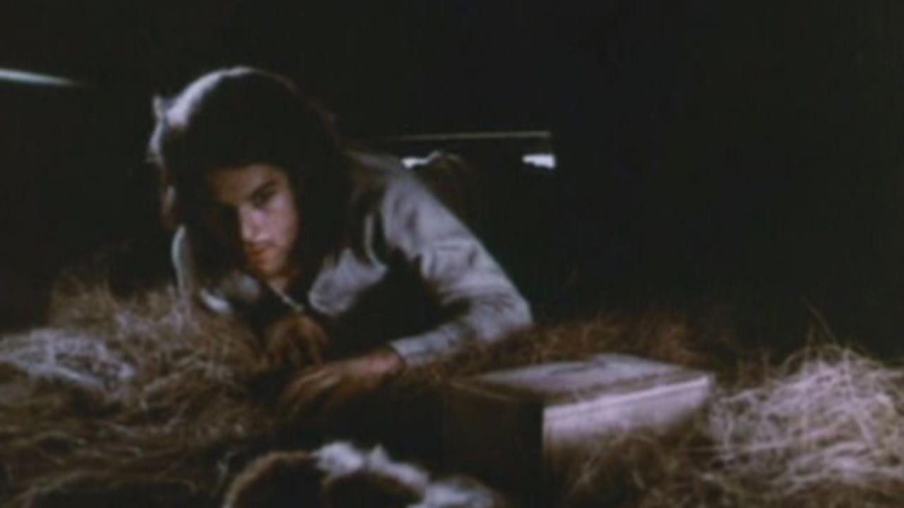 Crawlspace