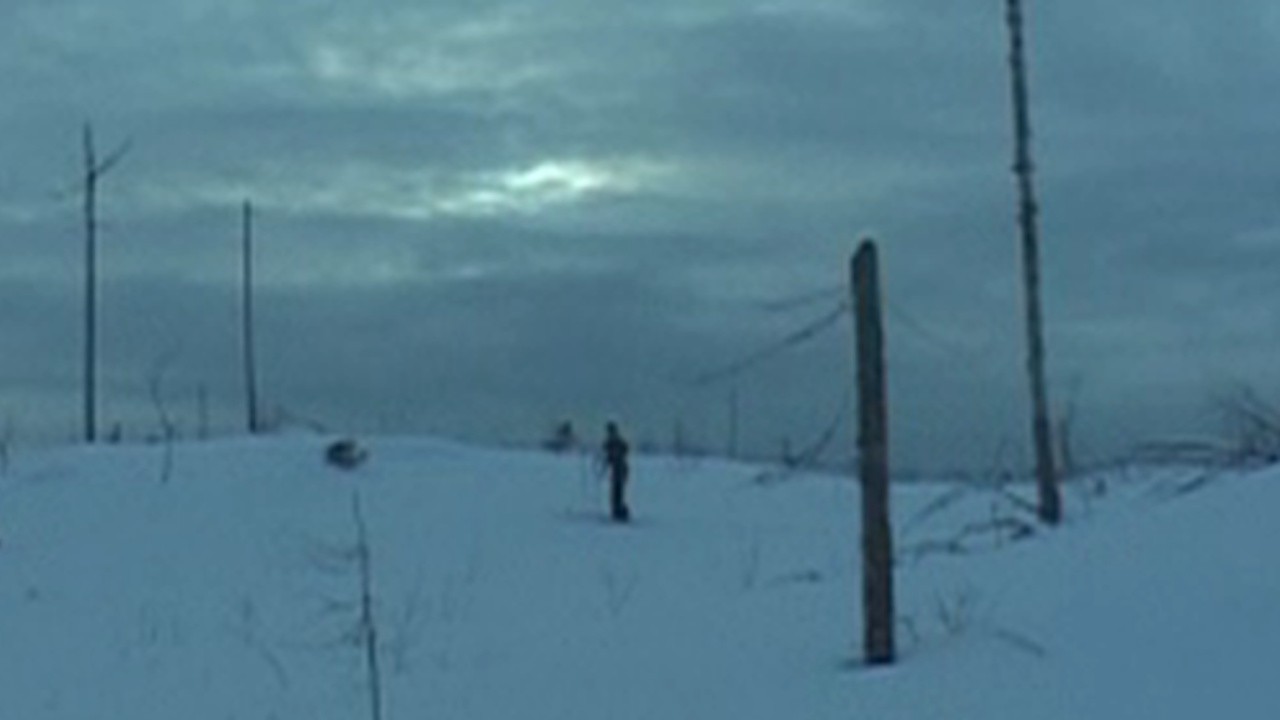 Winter of the Dead
