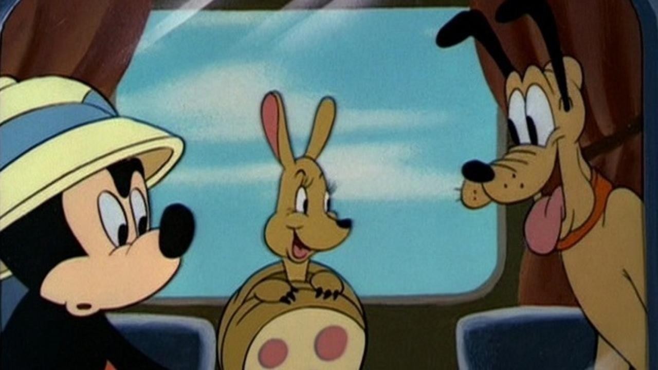 Pluto and the Armadillo