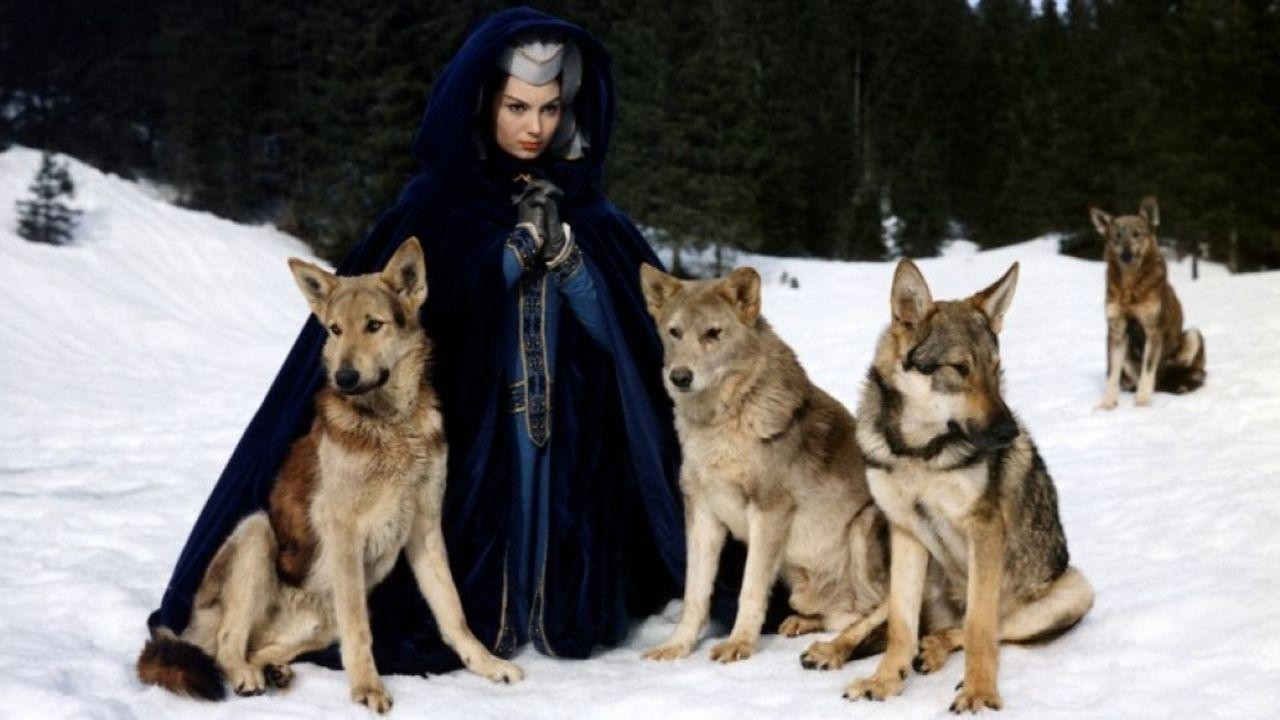 Image du film Le Miracle des loups