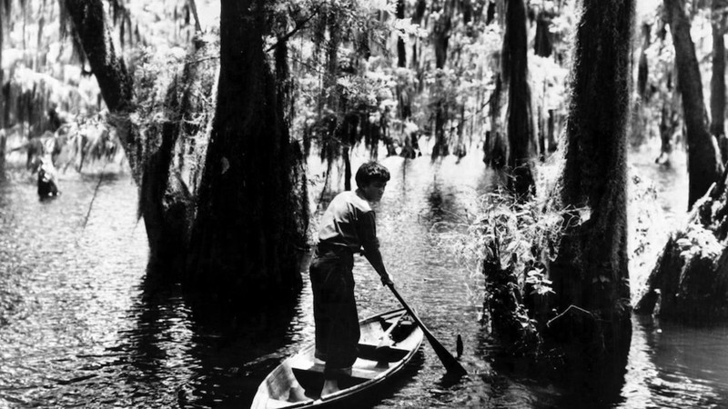 Louisiana Story