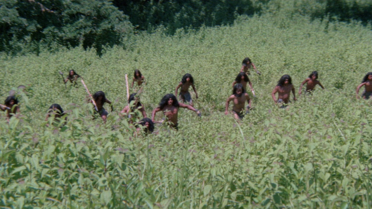 Primitives