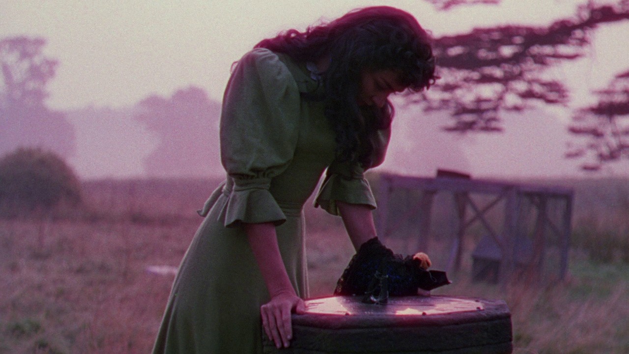 Image du film La Renarde