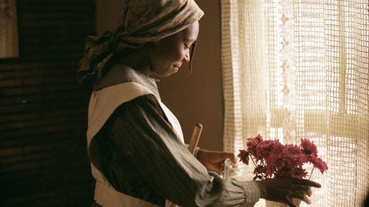 Image du film La Couleur pourpre