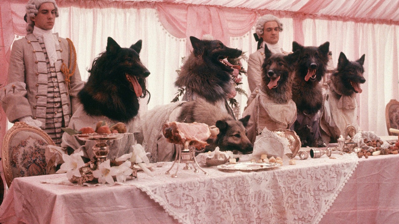 Image du film La compagnie des loups