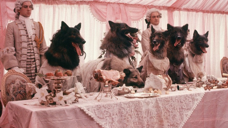 The Company of Wolves
