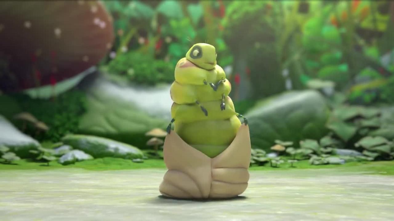 Sweet Cocoon