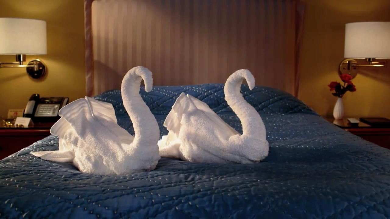 CitizenM: Swan Song
