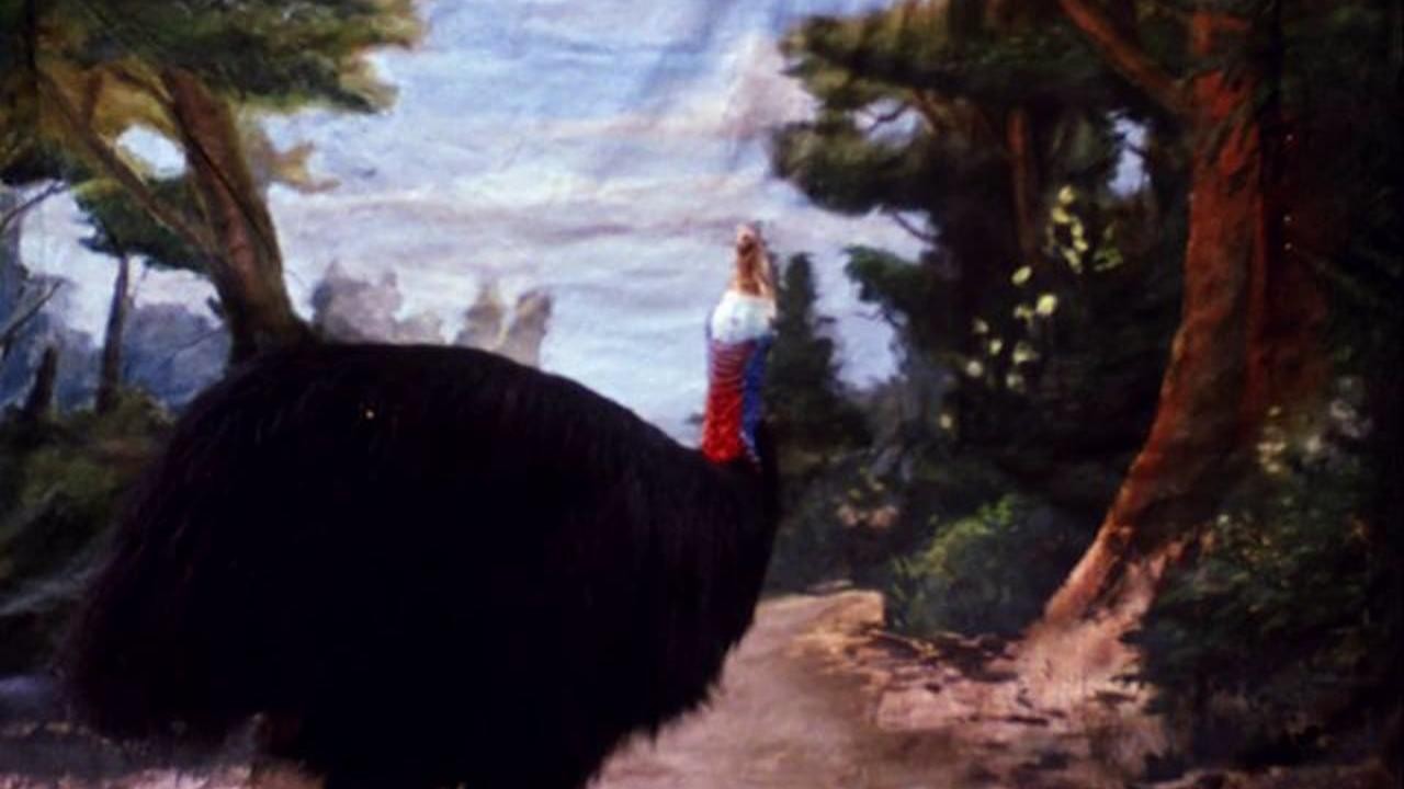Cassowary