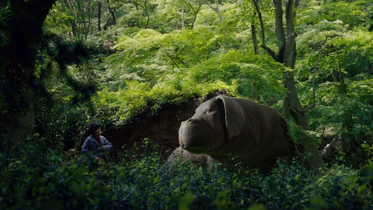 Image du film Okja