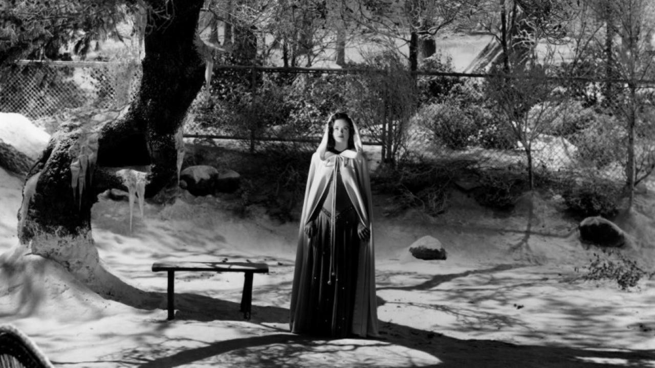 The Curse of the Cat People