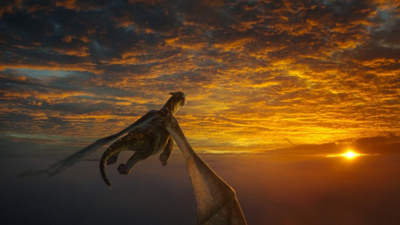 Image du film Peter et Elliott le dragon