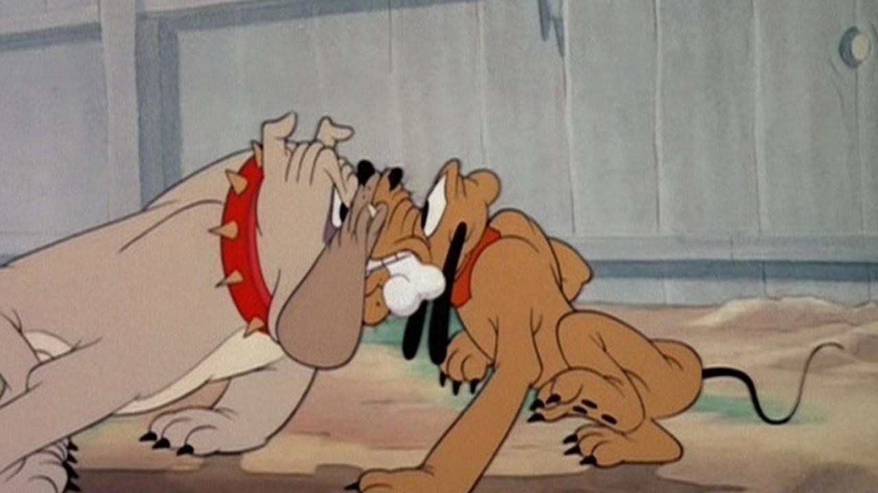 Bone Trouble