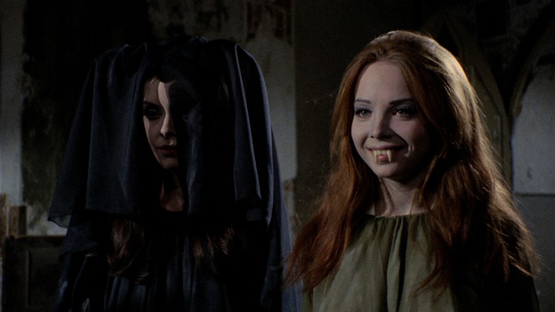 The Werewolf vs. the Vampire Woman