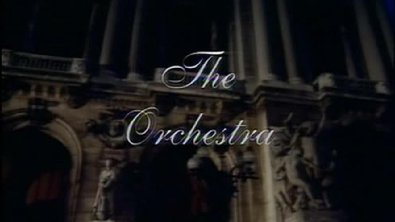 The Orchestra