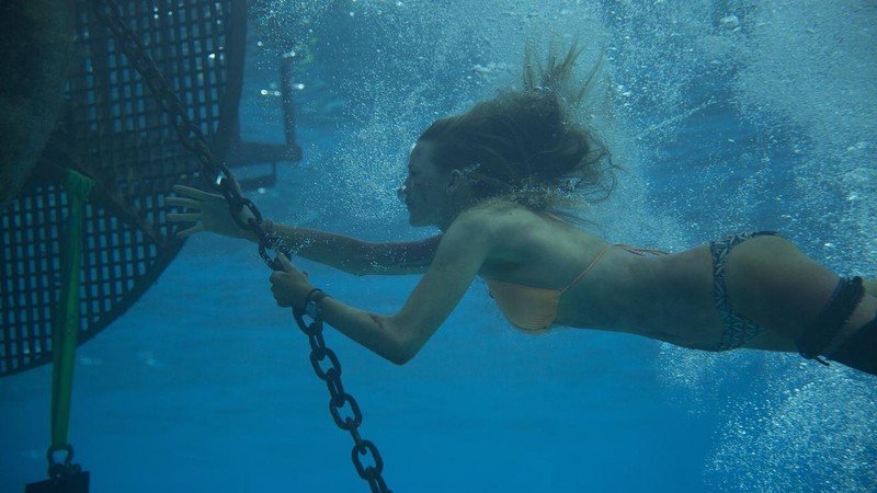 The Shallows