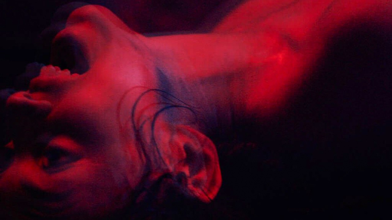 We Are the Flesh