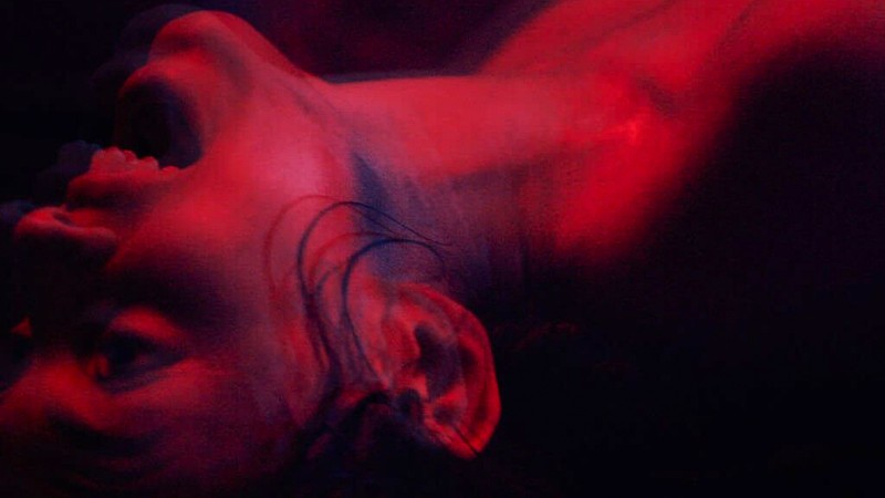 We Are the Flesh