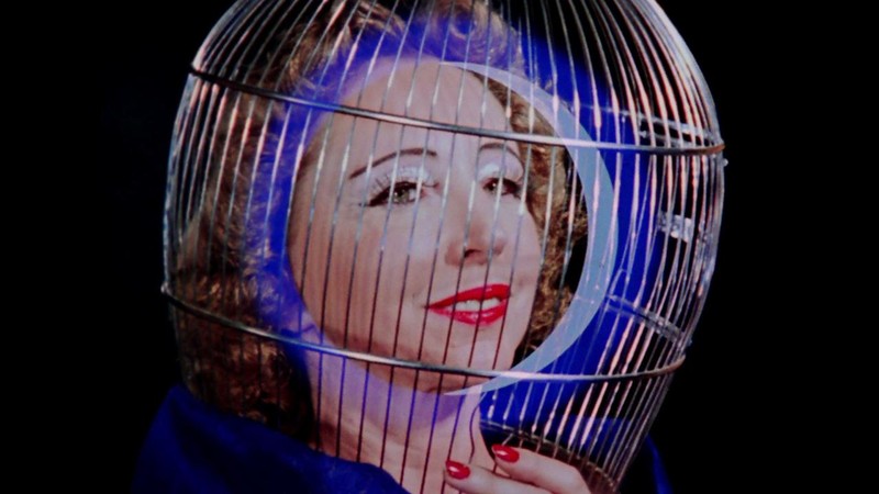 Inauguration of the Pleasure Dome