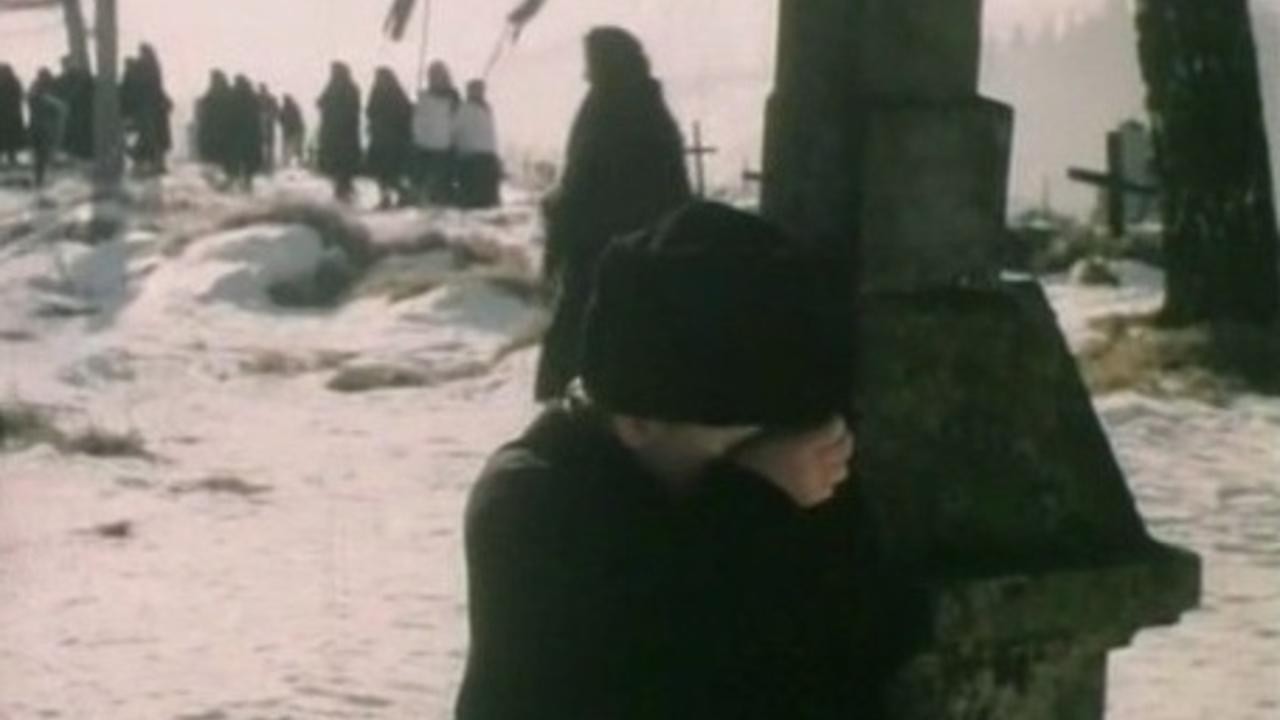 Great Times Example Great Times (1978) | MUBI
