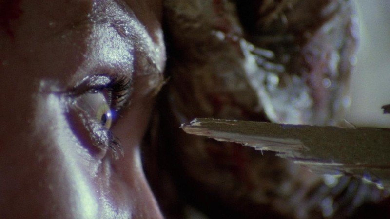 Zombie Flesh Eaters