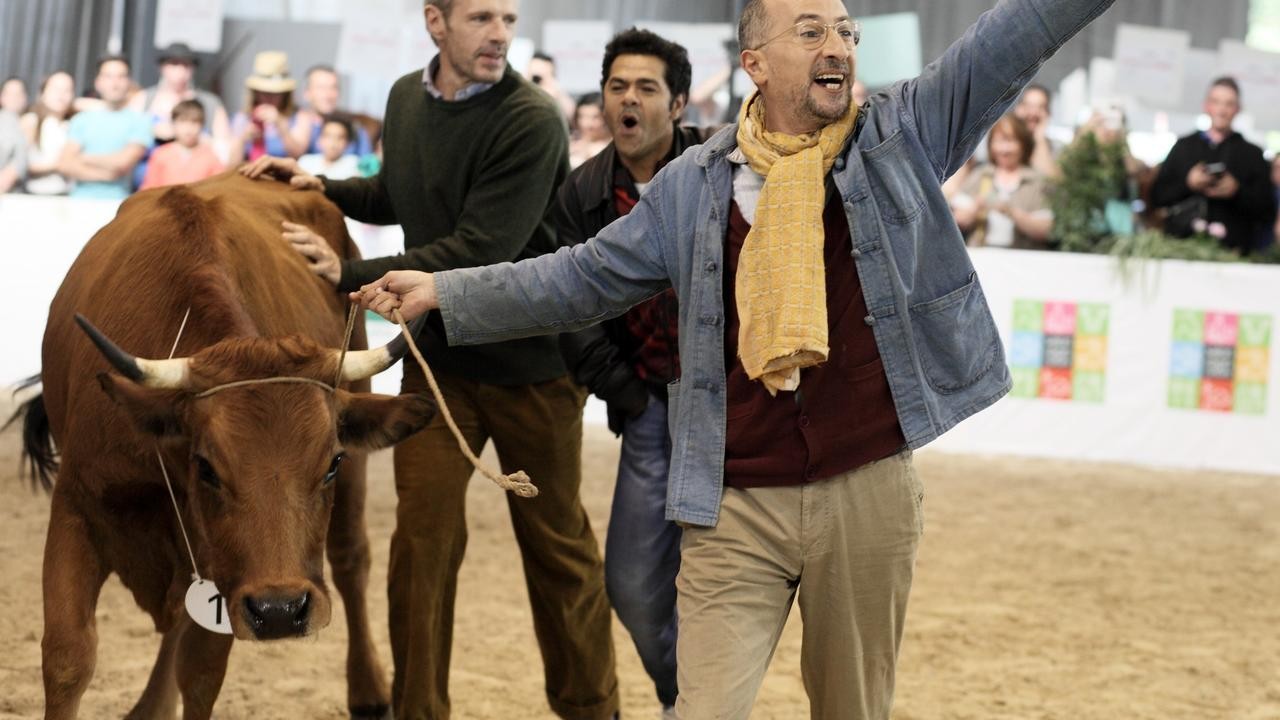 La vache