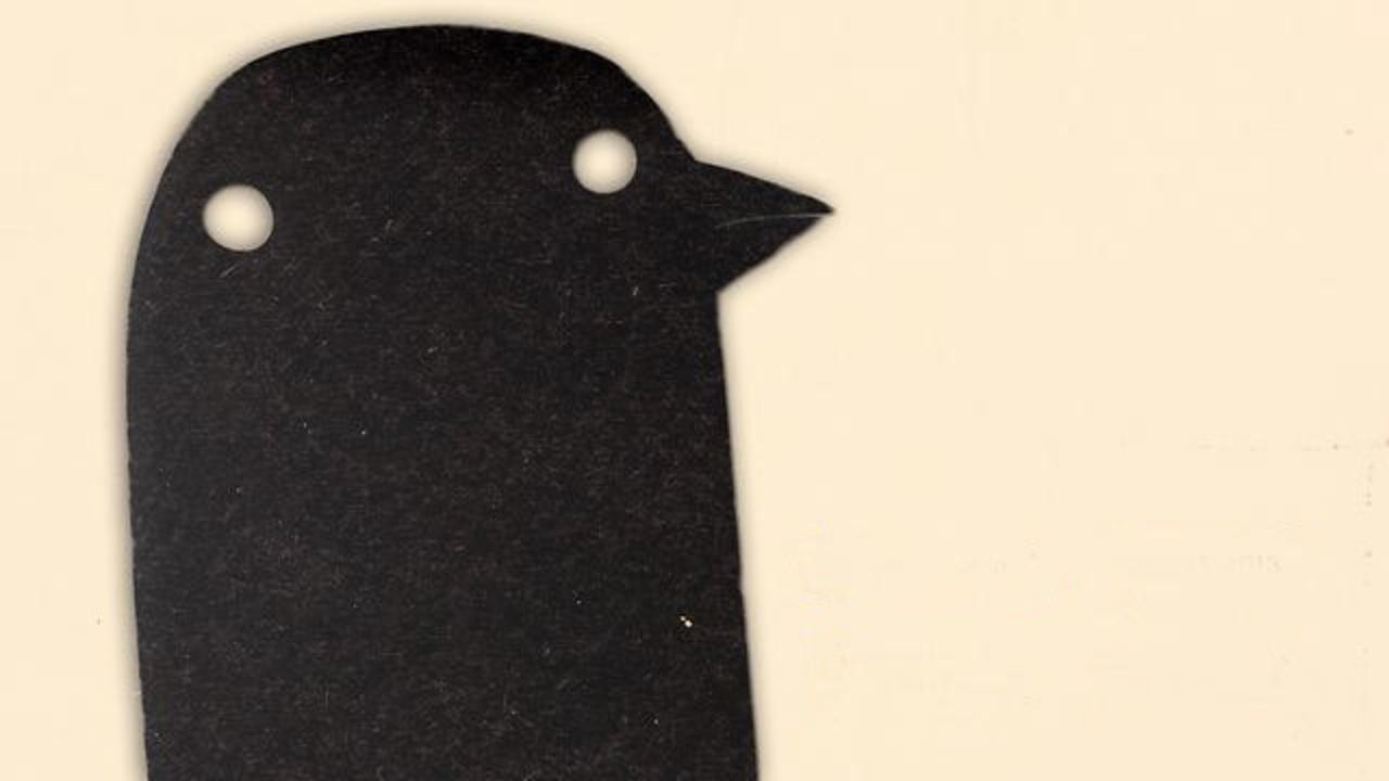 The Making of Longbird