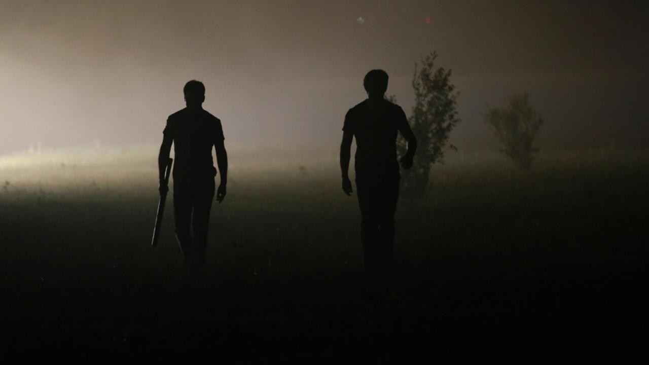 Image du film Dogs