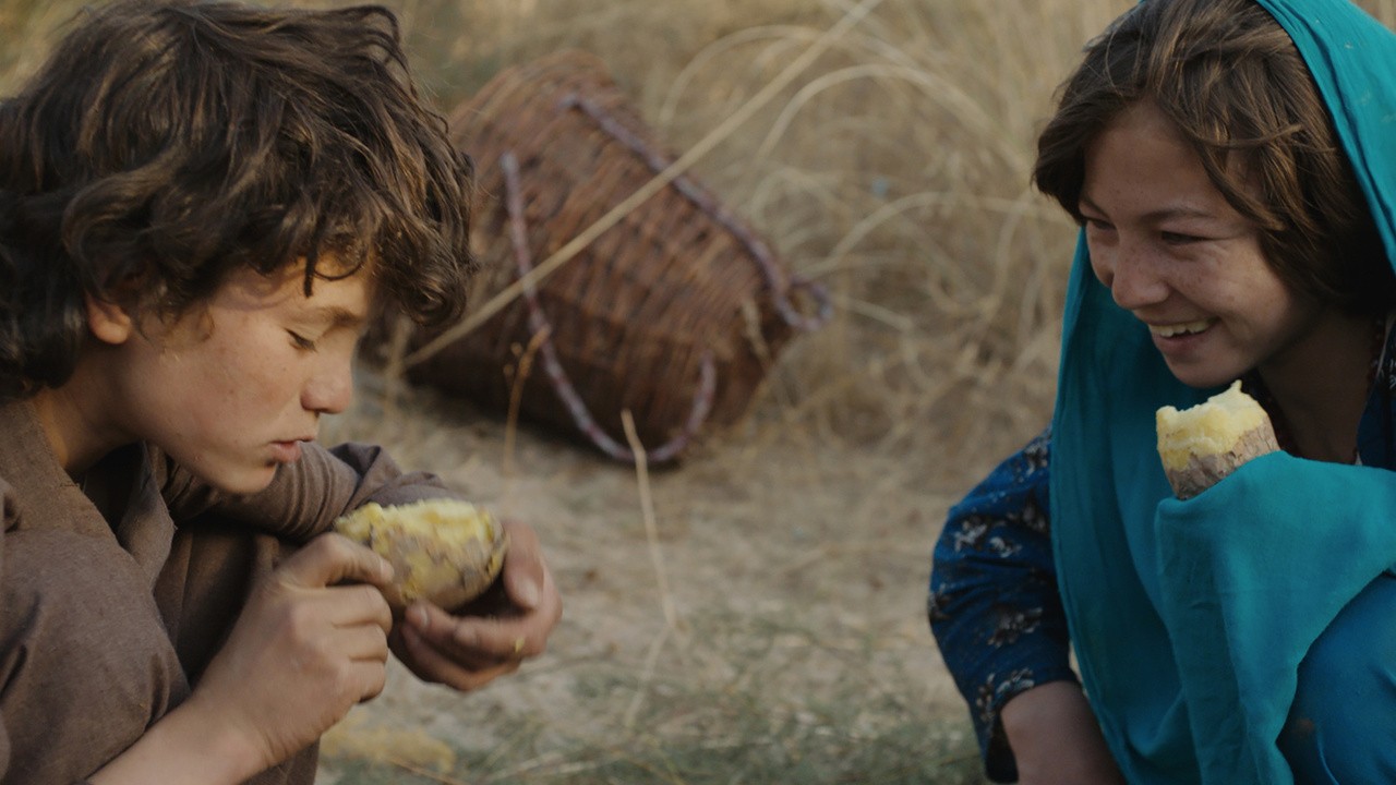Image du film Wolf And Sheep