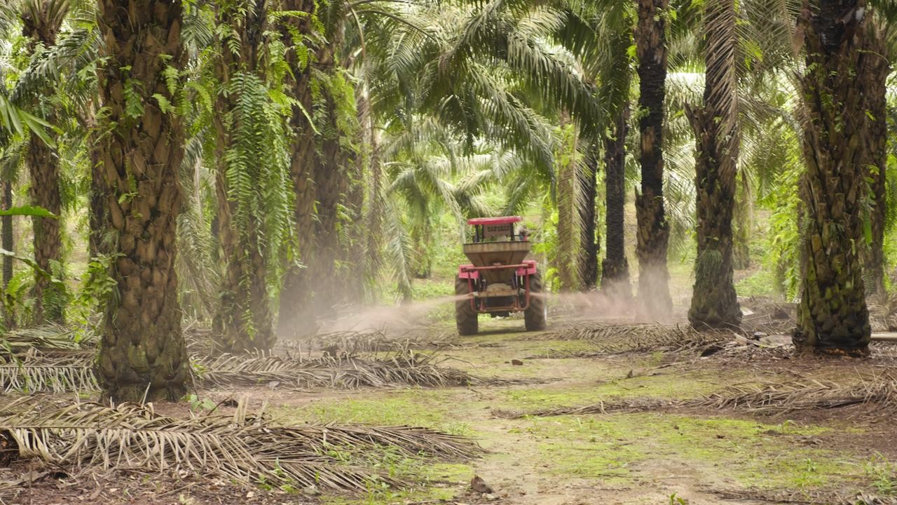 Land Grabbing