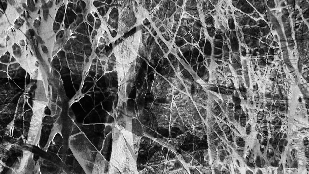 Serena Gundy (2014) | MUBI