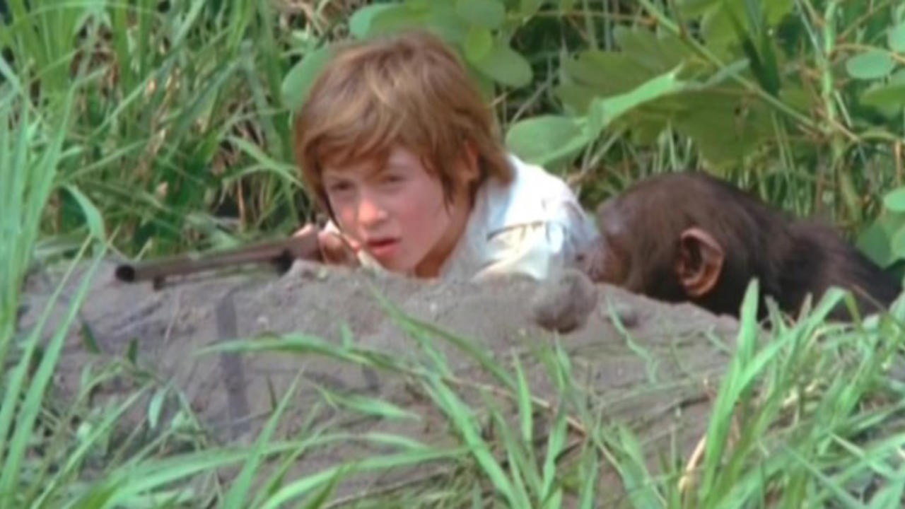 Zindy, the Swamp-Boy
