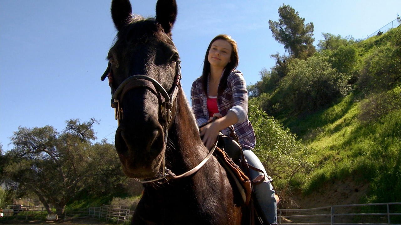 A Talking Pony!?!