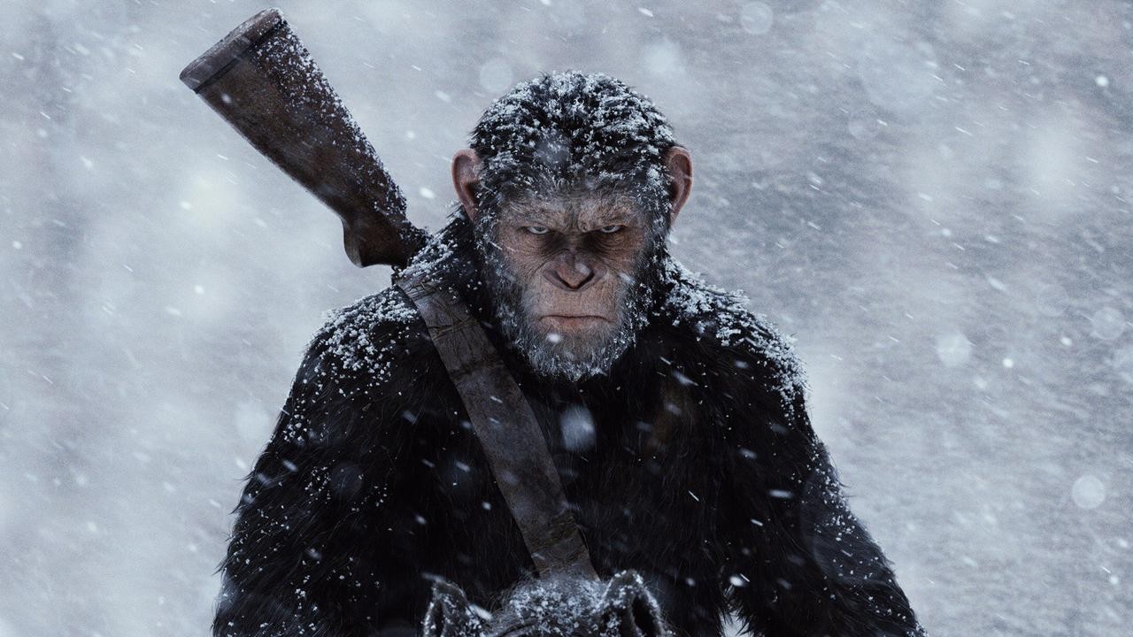 Image du film La Planète des singes : Suprématie