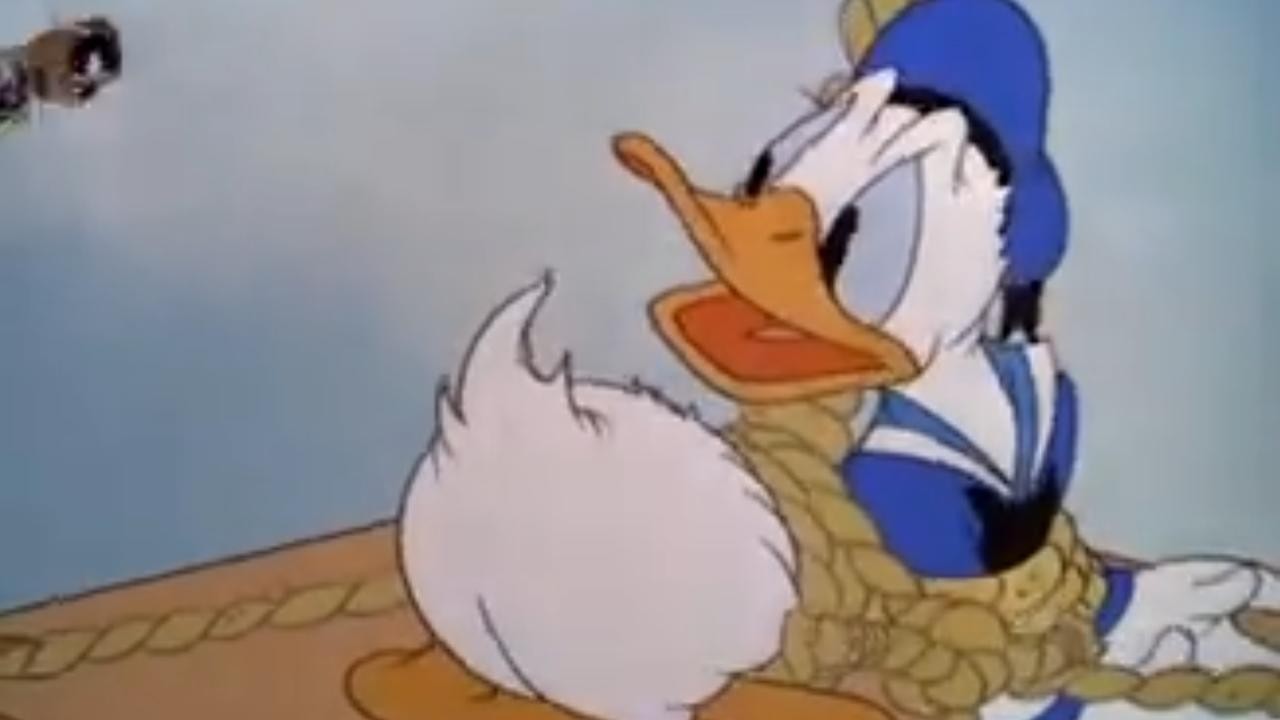 Walt Disney Treasures: The Chronological Donald