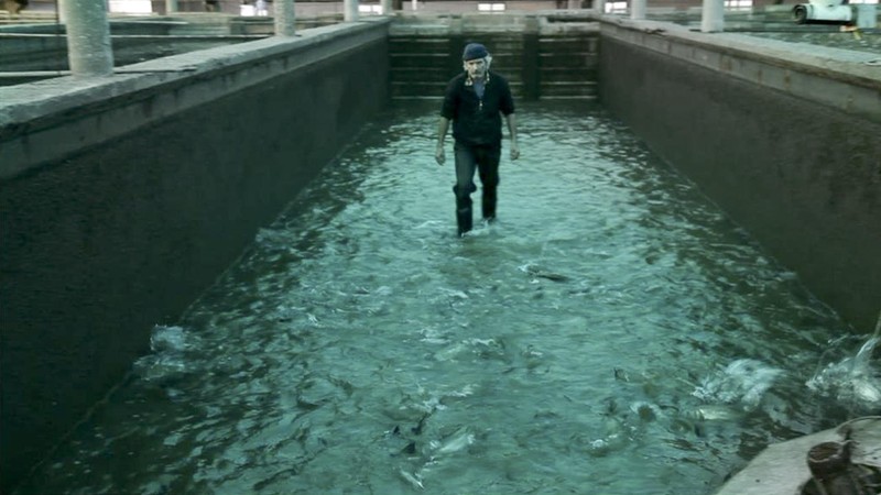 Due volte Delta (2014) MUBI