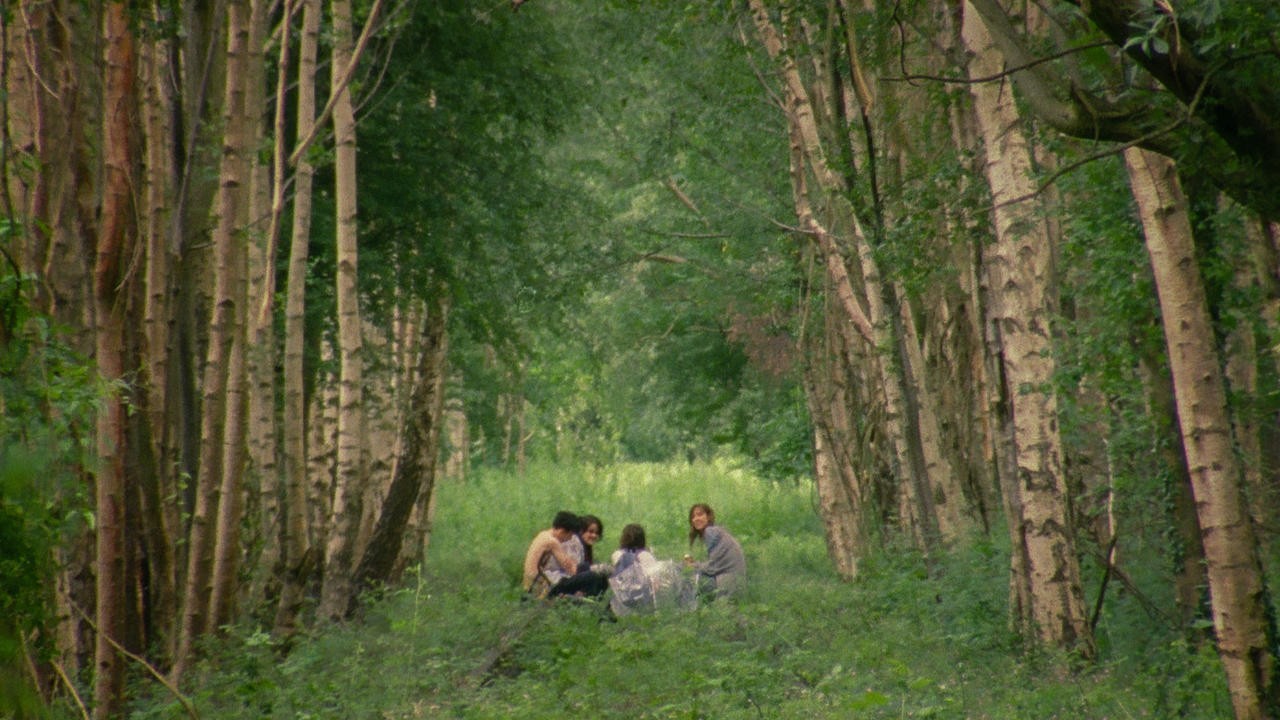 Light Years 2015 Mubi