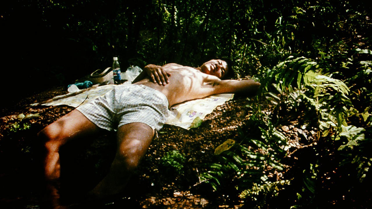 Image du film Blissfully yours