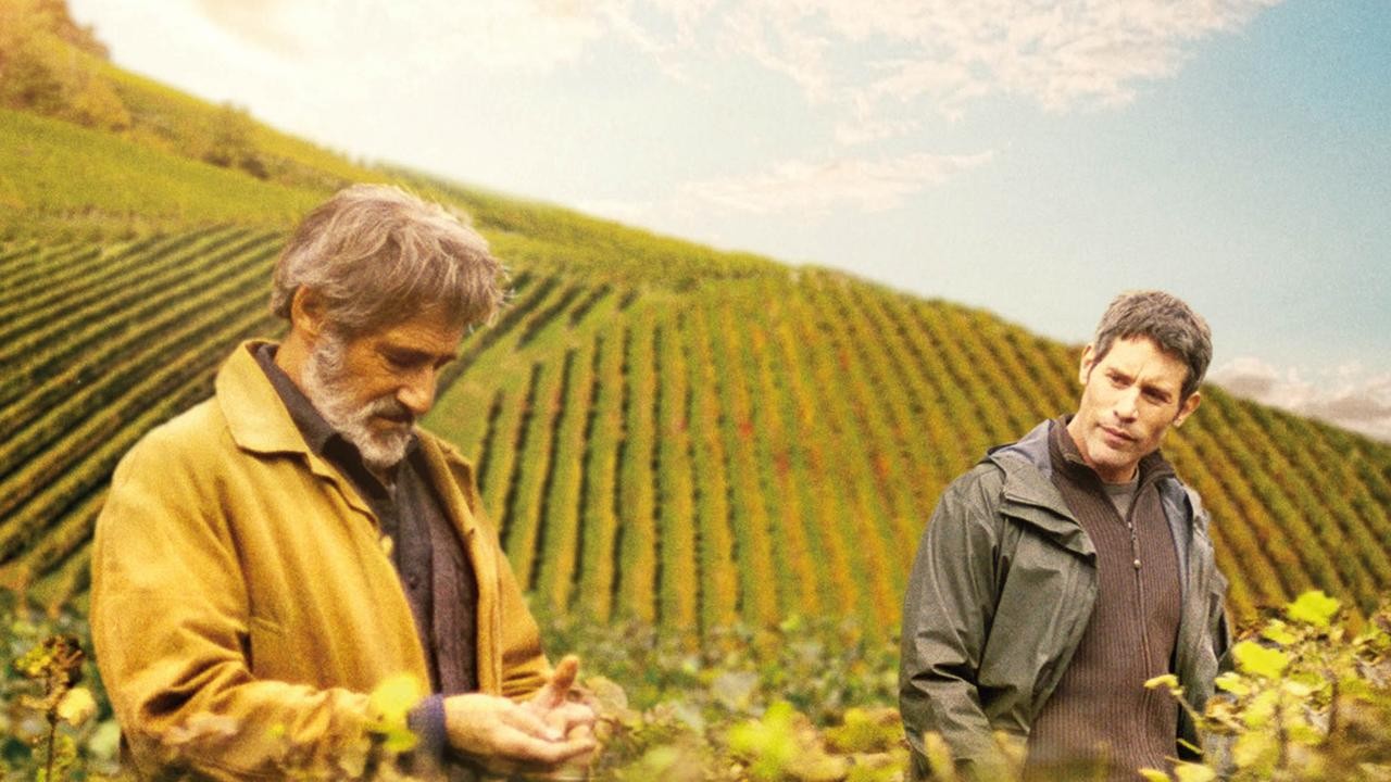 Image du film Premiers crus