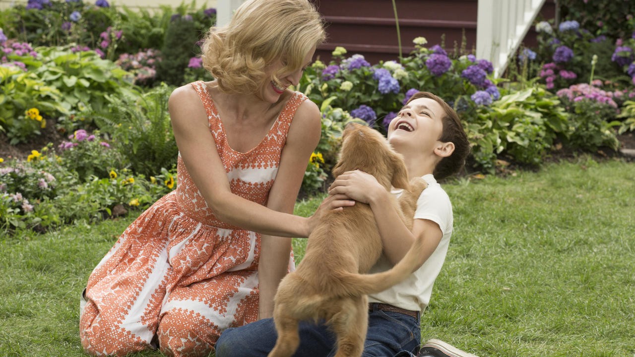 Image du film Mes vies de chien