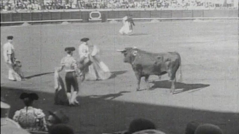 Spanish Bullfight I