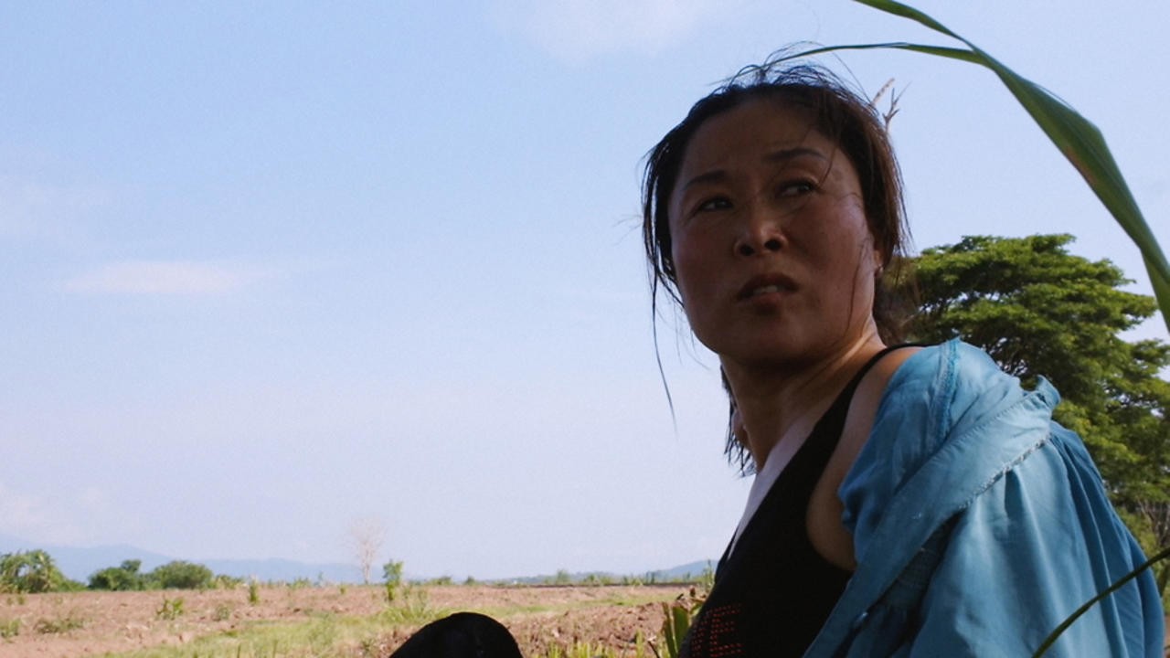 Mrs.B., A North Korean Woman