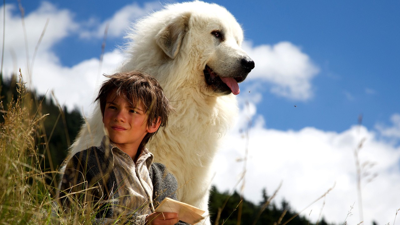 Image du film Belle et Sébastien : L'aventure continue