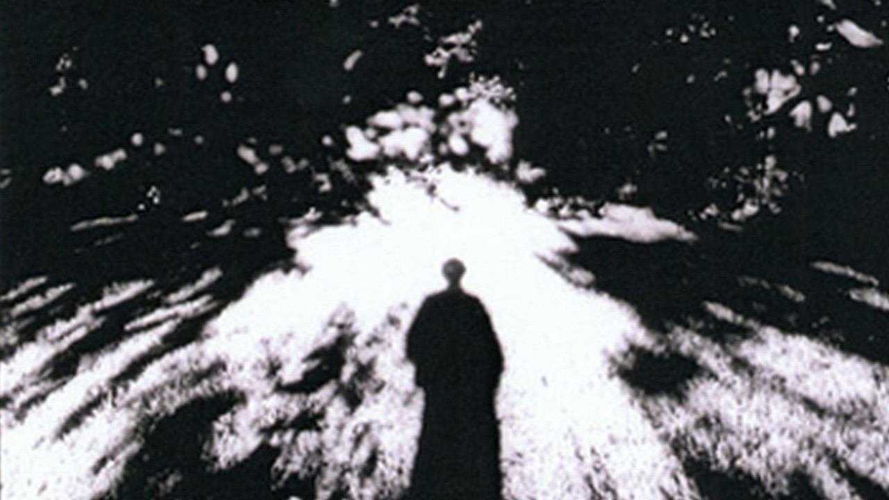 The Adventures of the Exquisite Corpse Part VI: Imaginary Light