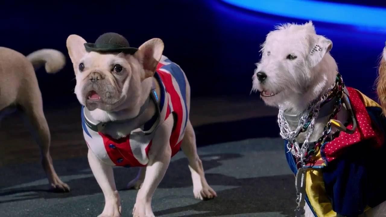 Pupstar