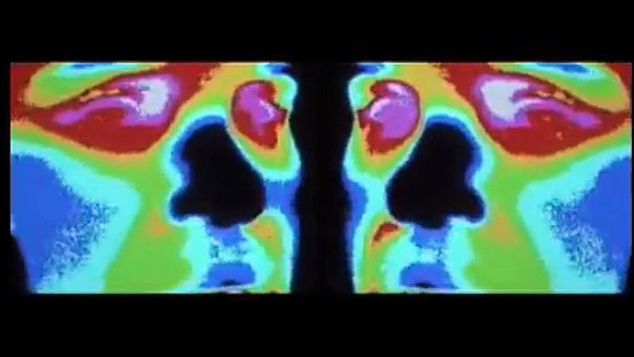 Ratatat: Mirando [MV]