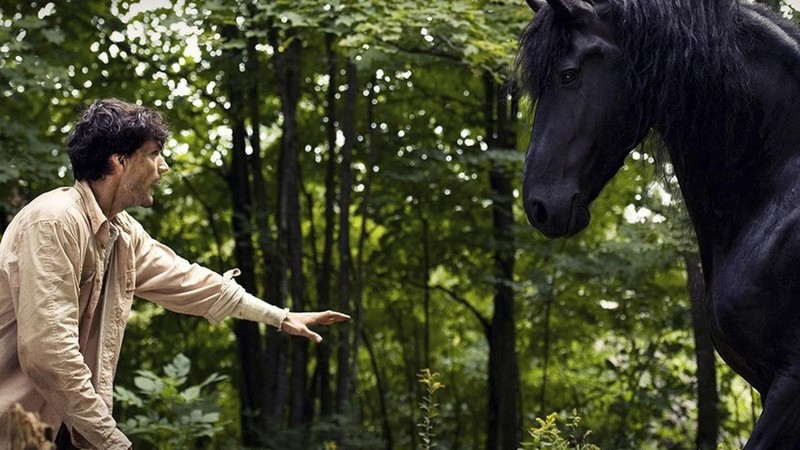 The Torrent (2012) | MUBI