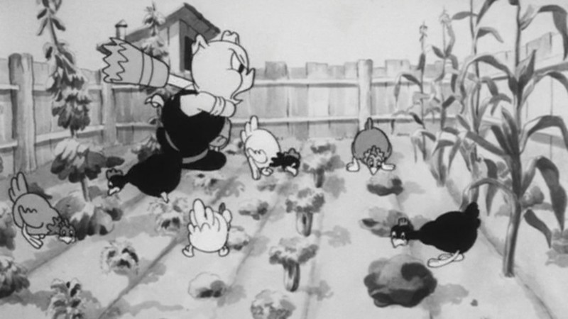 Porky's Garden