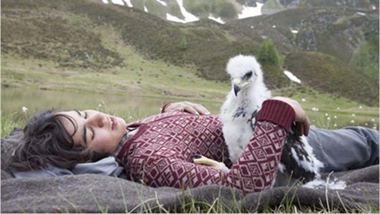 Image du film L'Aigle et l'Enfant