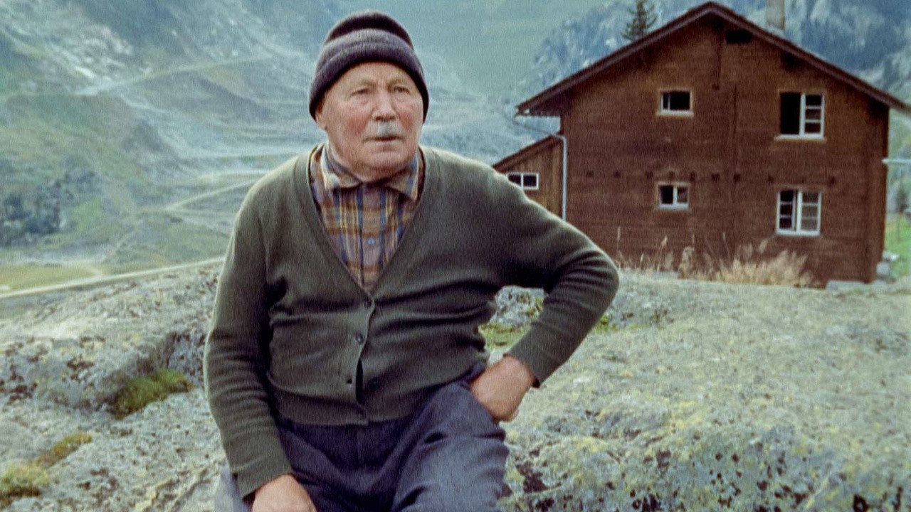 We Who Dwell in the Mountains Cannot Be Blamed for Being There